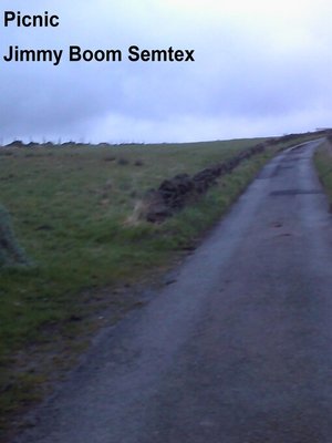 cover image of Picnic